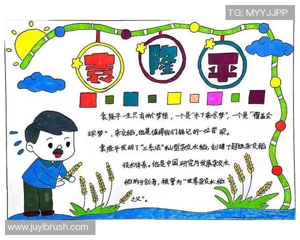 七年磨一剑足球明星的成长之路与奋斗故事